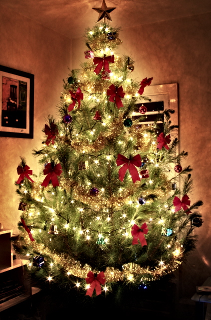 Christmas Tree With Lights