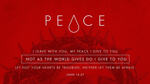 Daily Bible Verse 