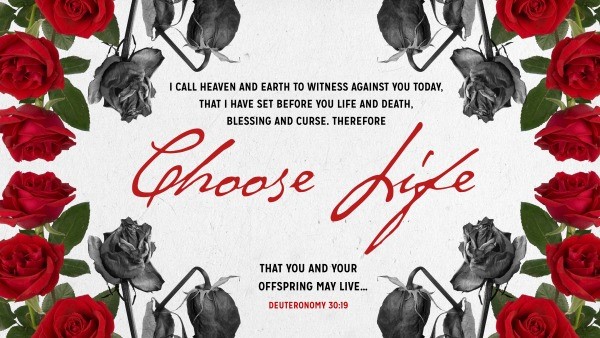 Daily Bible Verse 