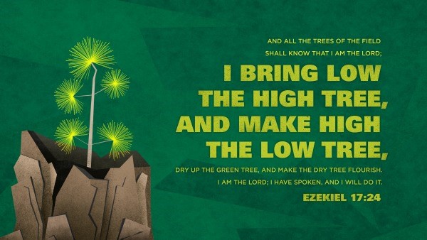 Daily Bible Verse 