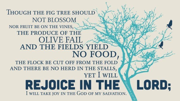 Daily Bible Verse 