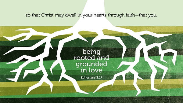 Daily Bible Verse 