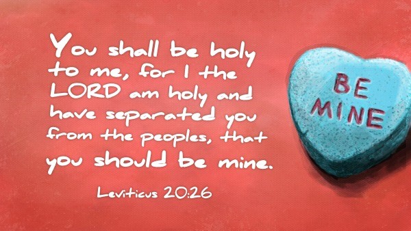 Daily Bible Verse 