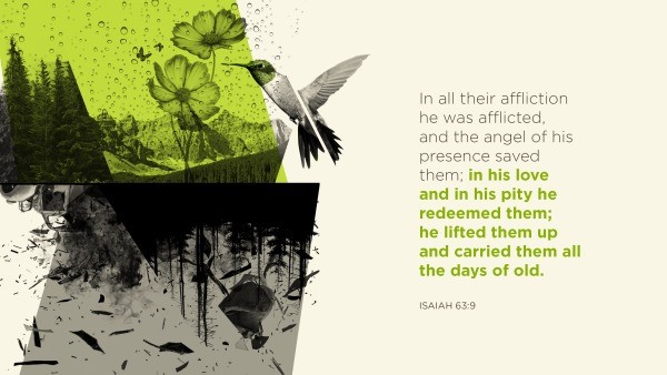 Daily Bible Verse 