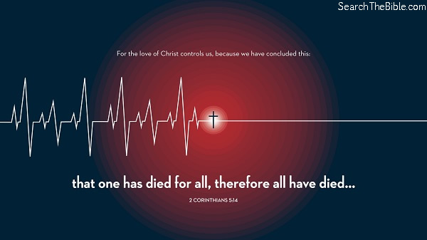 Daily Bible Verse 