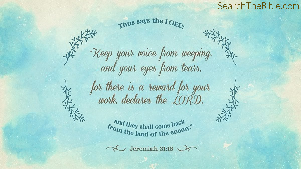Daily Bible Verse 