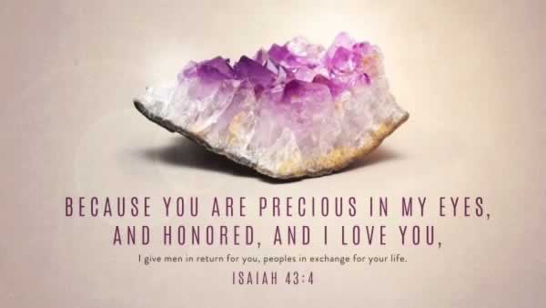 Daily Bible Verse 
