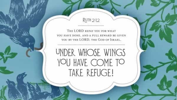 Daily Bible Verse 