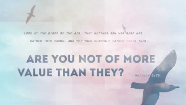 Daily Bible Verse 