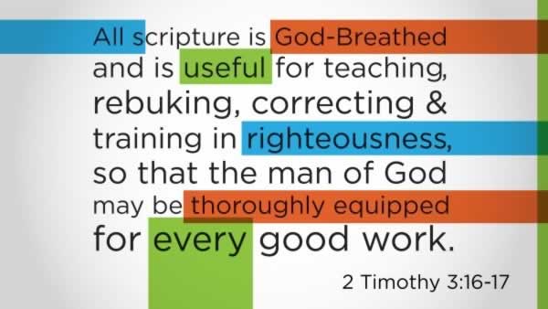 Daily Bible Verse 