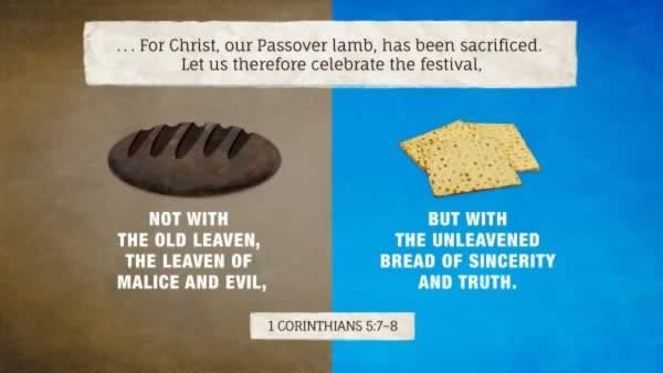 Daily Bible Verse 
