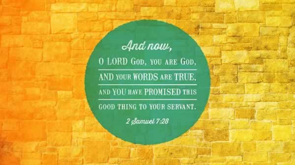 Daily Bible Verse 