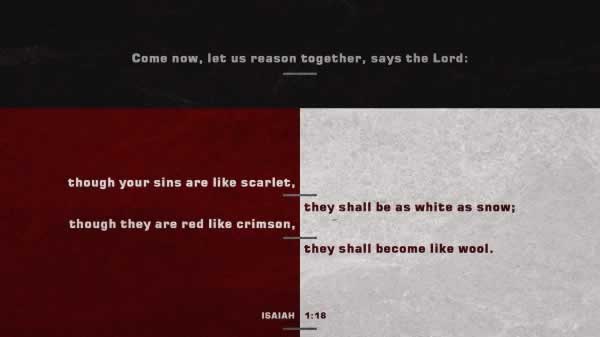 Daily Bible Verse 
