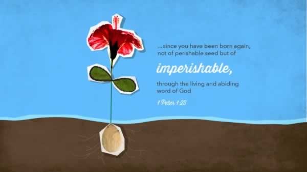 Daily Bible Verse 