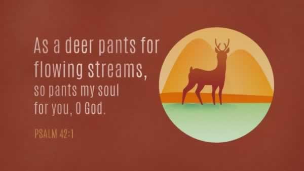 Daily Bible Verse 