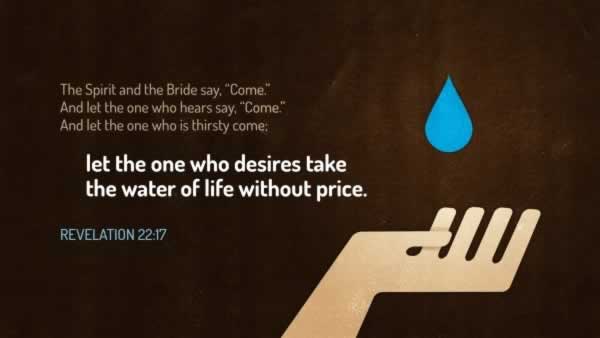 Daily Bible Verse 