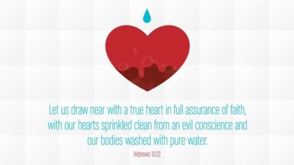 Daily Bible Verse 