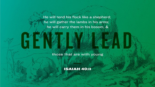 Daily Bible Verse 