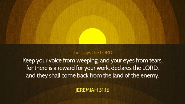 Daily Bible Verse 