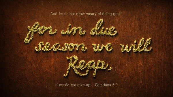 Daily Bible Verse 
